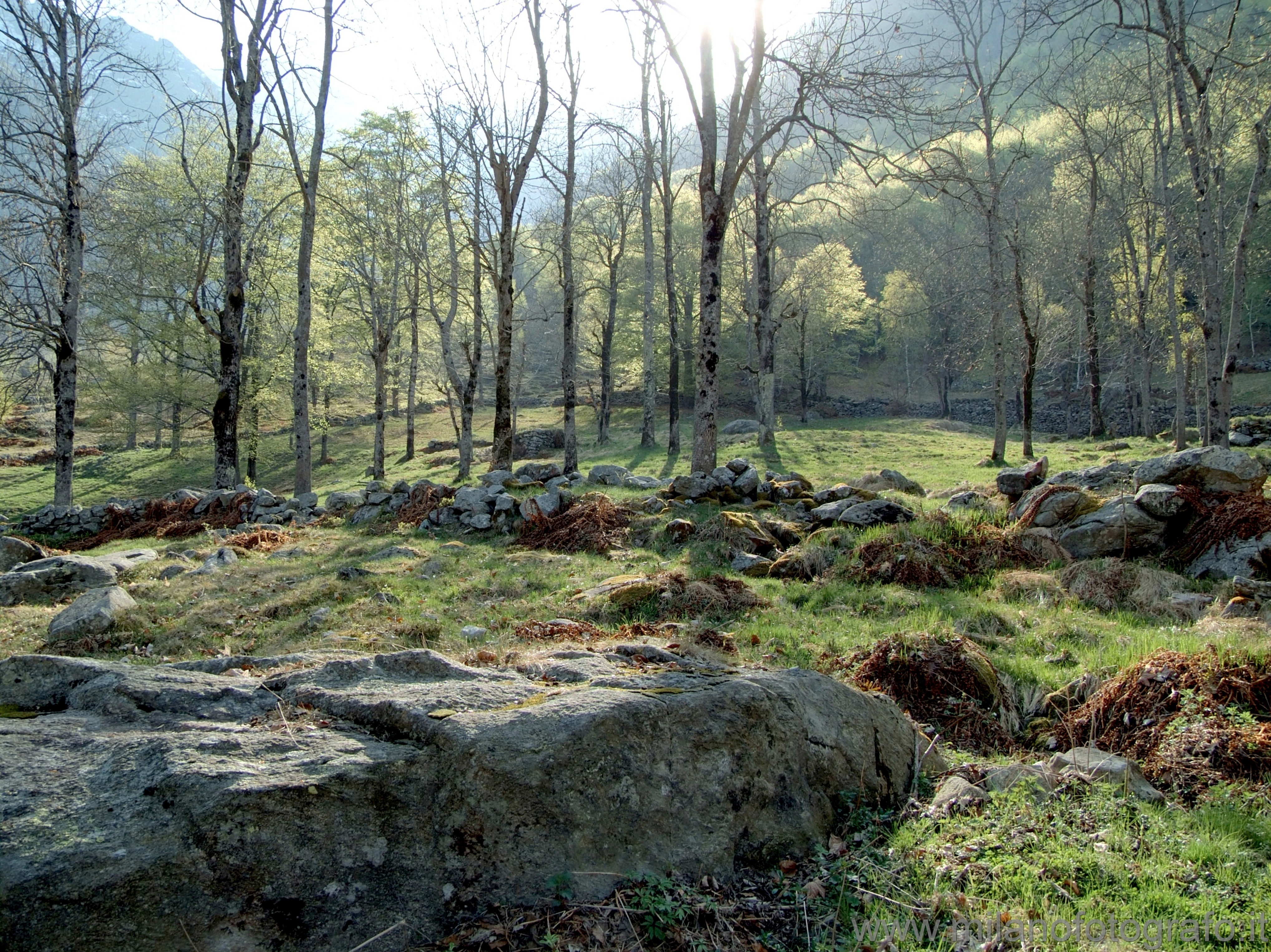 Desate presso Rosazza (Biella) - Panorama primaverile